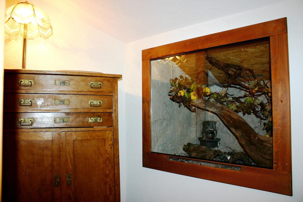Ferienwohnung Rita Bad Mitterndorf Εξωτερικό φωτογραφία